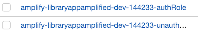 IAM Roles generated by AWS Amplify