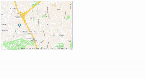 Amazon Location Service reverse geocoding